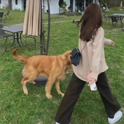 寻找斯蒂夫·麦昆